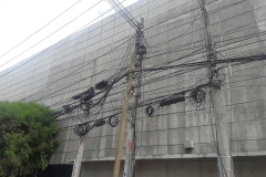 fieldwork Mexico13