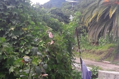 fieldwork Mexico2