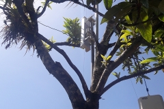 fieldwork Mexico7